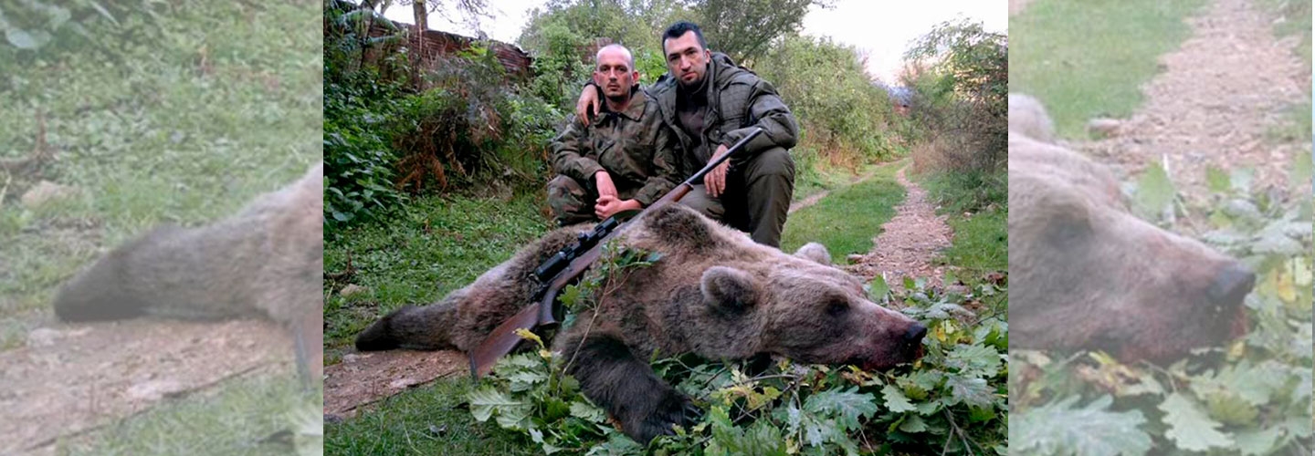 Teglskovens Hunting - jagtrejser til Bosnien