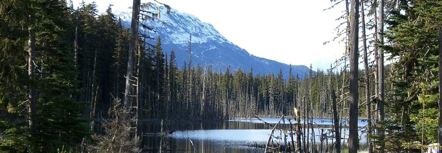 Teglskovens Hunting - Jagtrejser til Canada