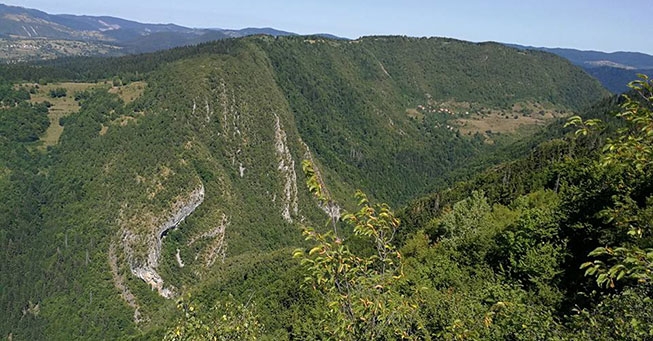 Teglskovens Hunting - jagtrejser til Bosnien